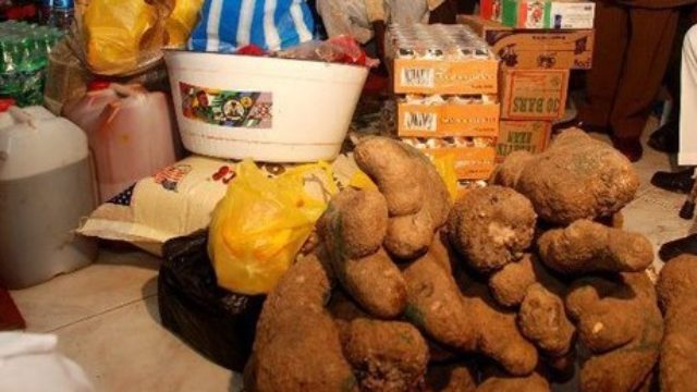 Igba Nkwu: All you need to know about the Igbo traditional marriage